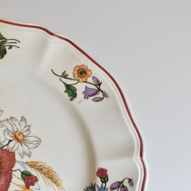 Vintage Dessert Plate Digoin & Sarreguemines Agreste 21cm B