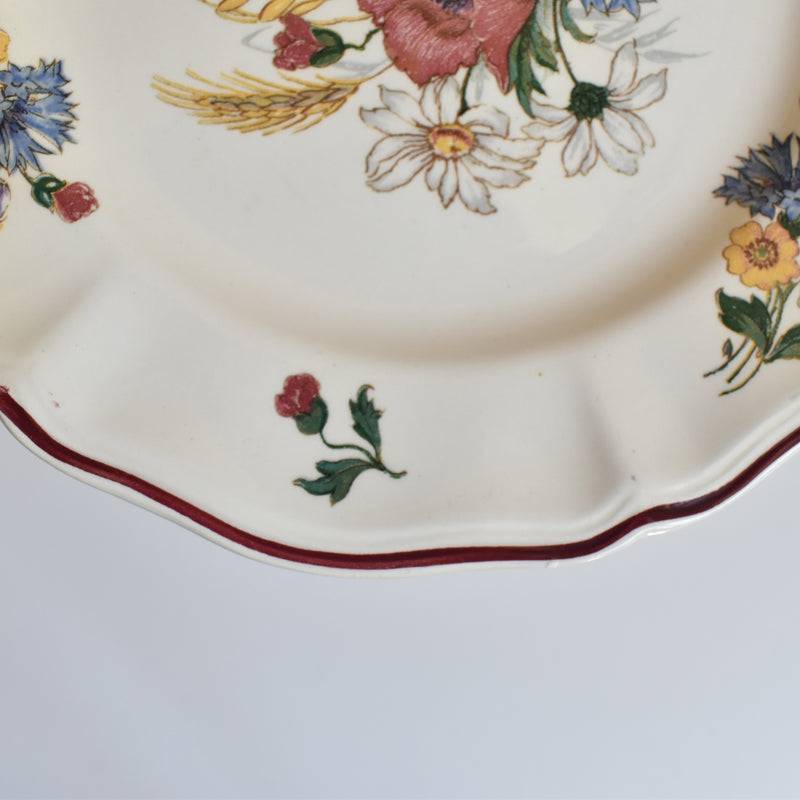 Vintage Dessert Plate, Digoin & Sarreguemines "Agreste" 21cm C