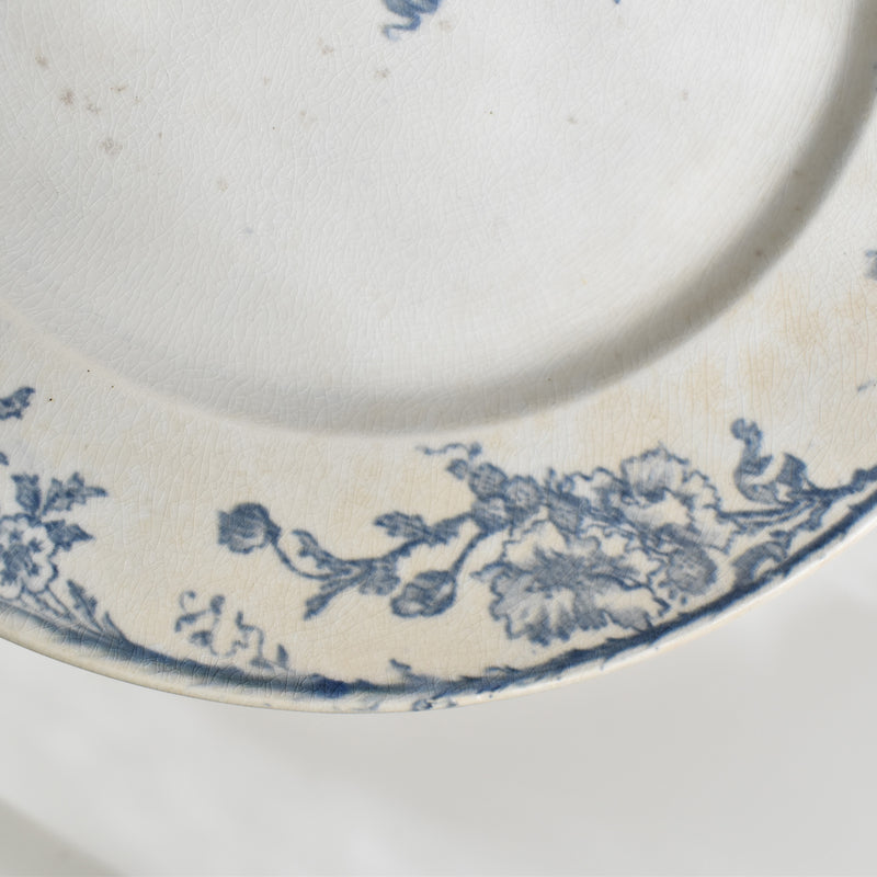 Antique Plate Creil et Montereau Aubépine B