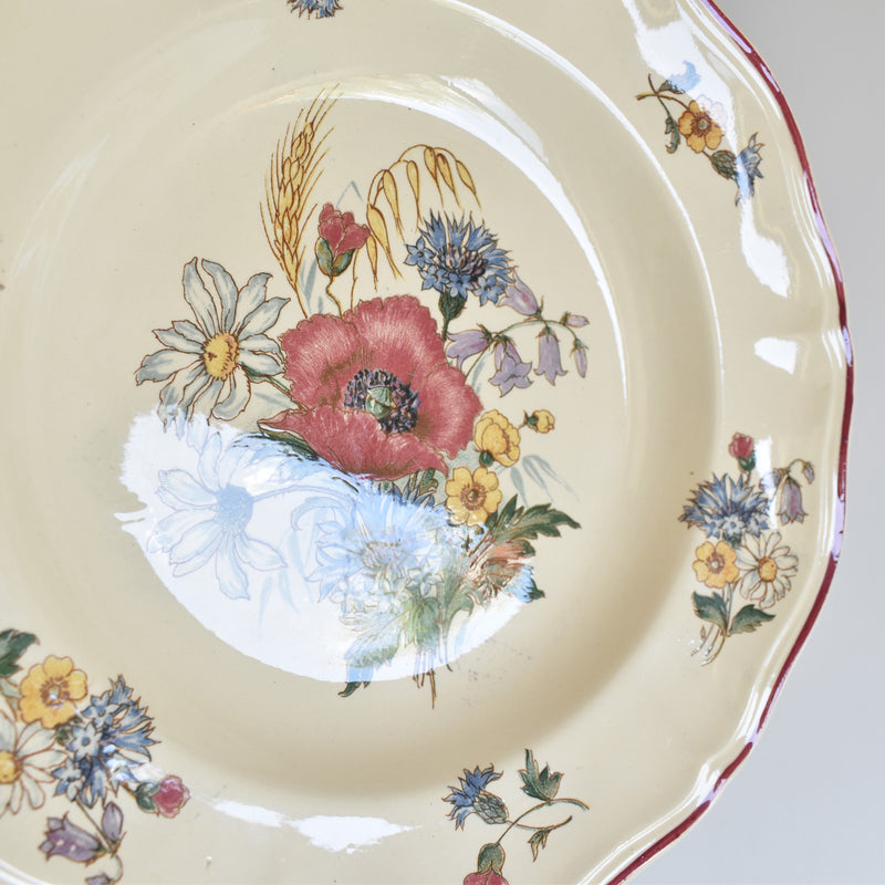 Vintage Plate Digoin & Sarreguemines Agreste A