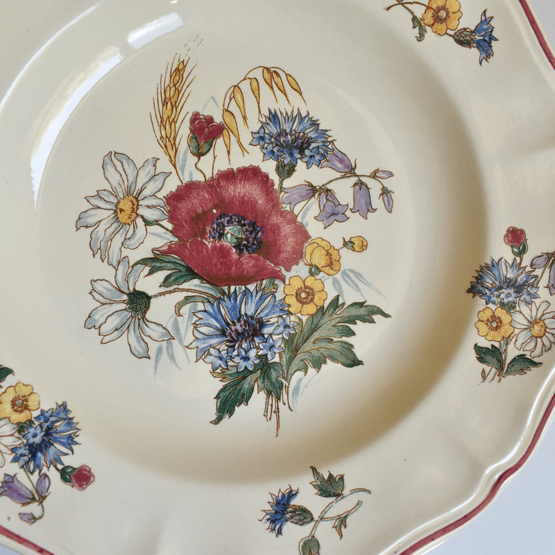 Vintage Plate Digoin & Sarreguemines Agreste B