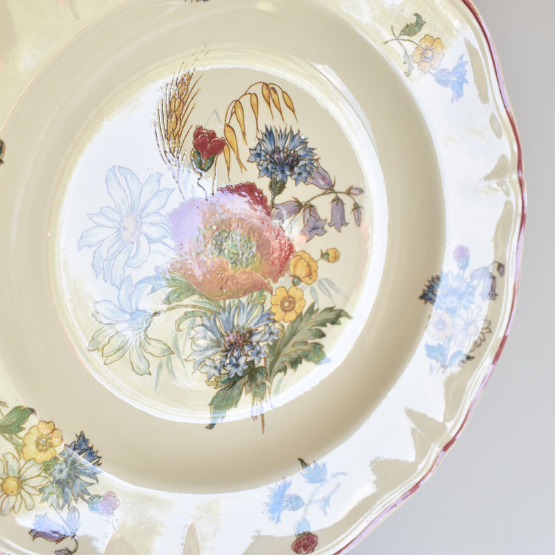 Vintage Plate Digoin & Sarreguemines Agreste B