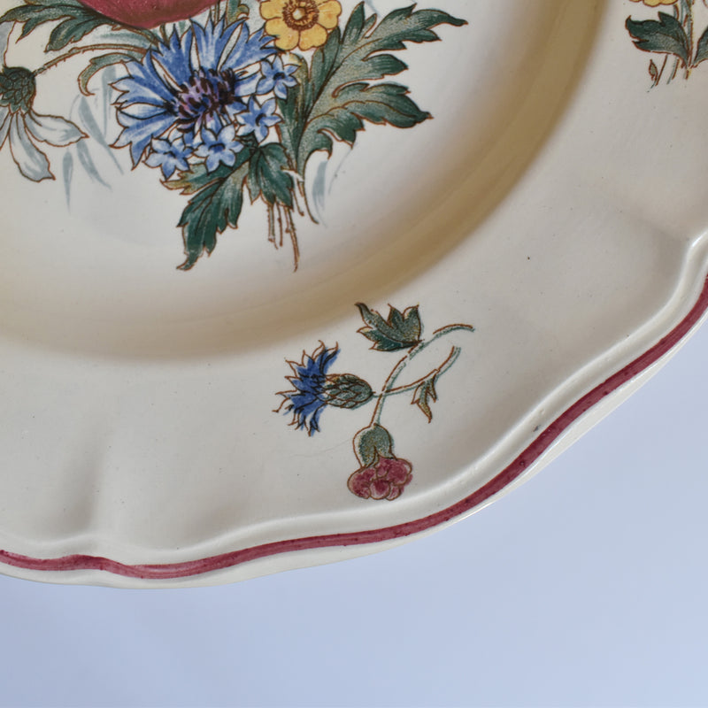 Vintage Plate Digoin & Sarreguemines Agreste B