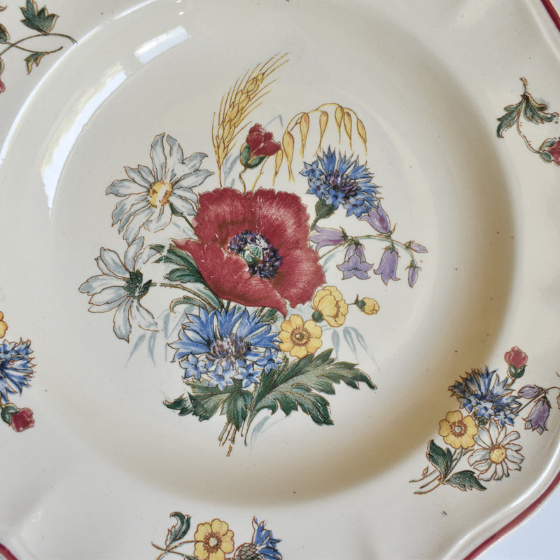 ヴィンテージプレート ディゴワン＆サルグミンヌ Agreste C