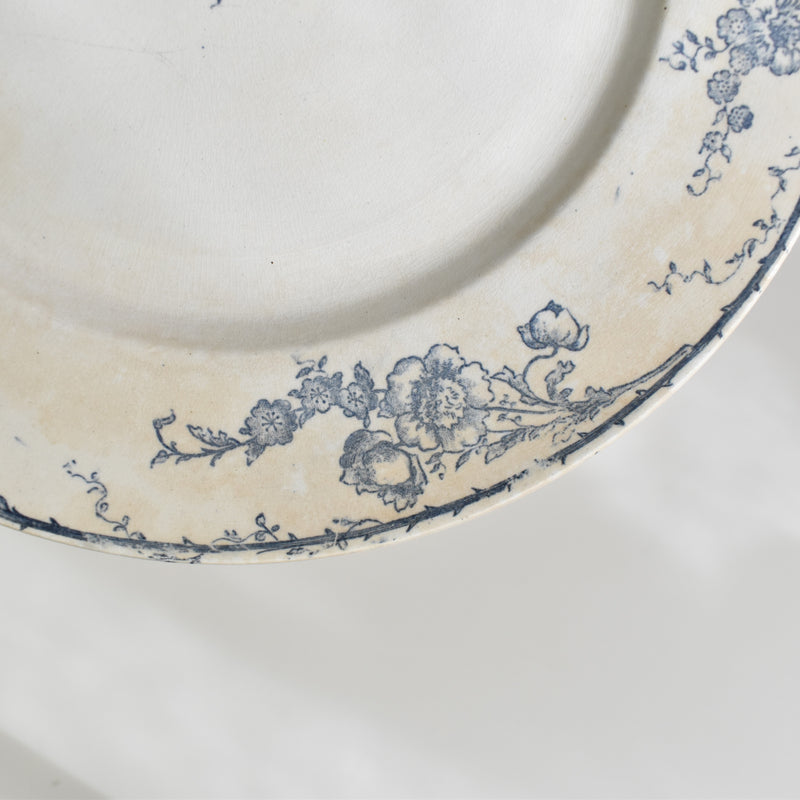 Antique plate, Creil-Montereau, Aubépine D