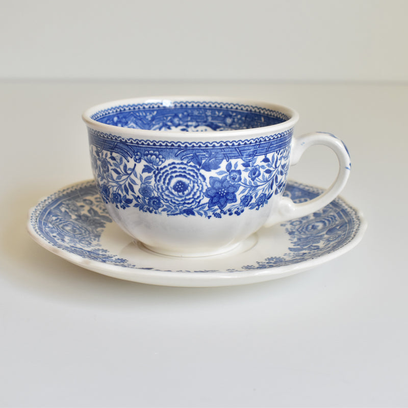 Vintage Teacup & Saucer Villeroy & Boch Burgenland B