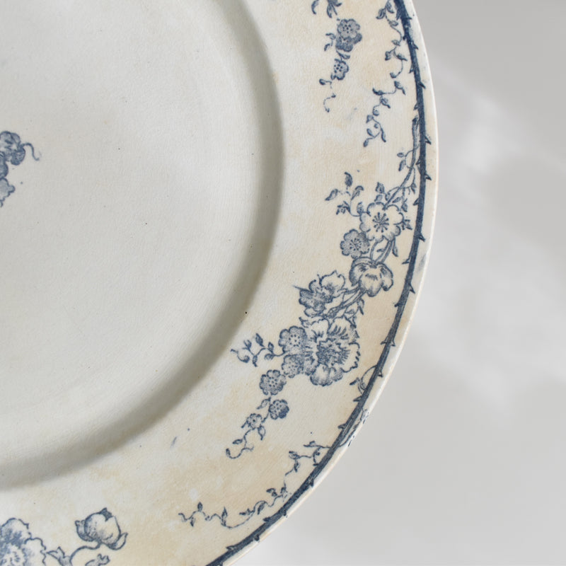 Antique plate, Creil-Montereau, Aubépine D