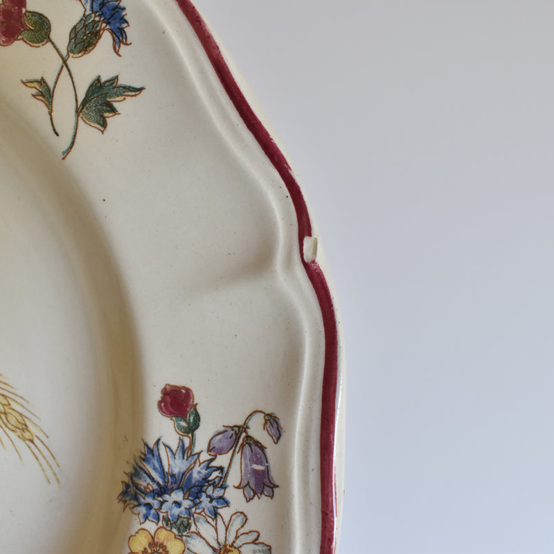 ヴィンテージプレート ディゴワン＆サルグミンヌ Agreste C