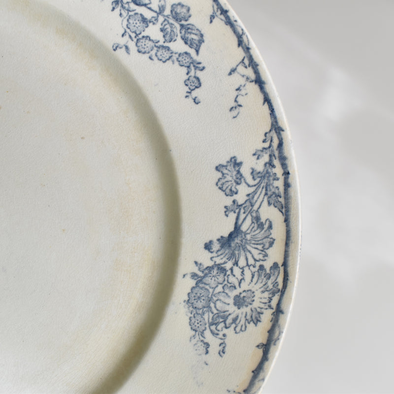 Antique plate, Creil-Montereau, Aubépine D