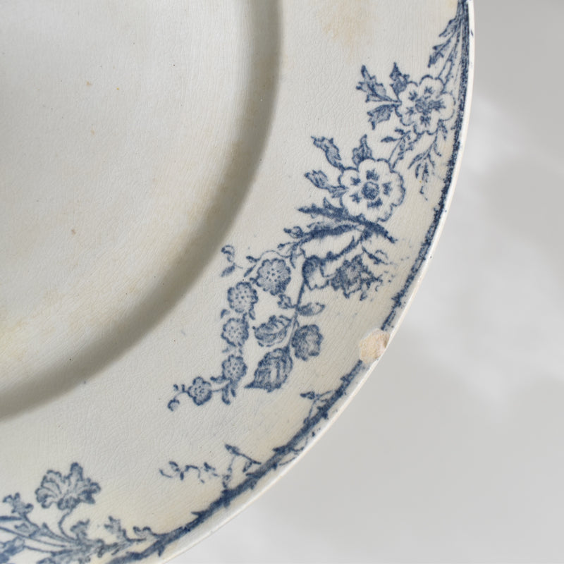 Antique plate, Creil-Montereau, Aubépine D