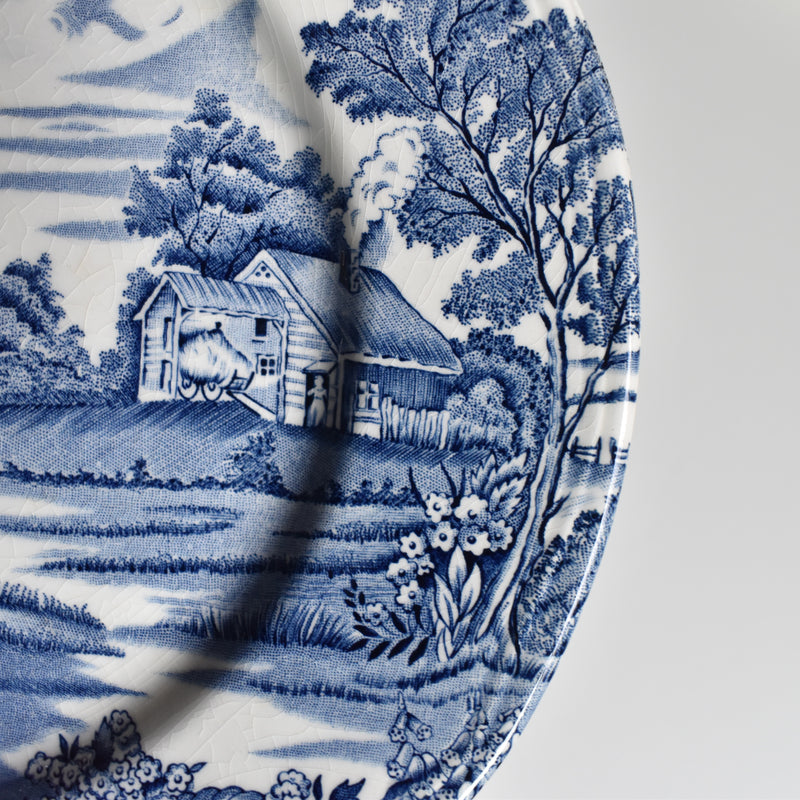 Vintage Plate Lunéville English Style B