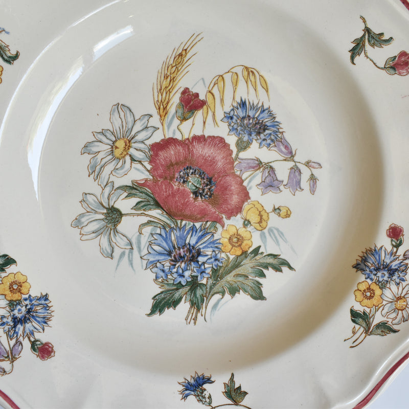 Vintage Plate Digoin & Sarreguemines Agreste D