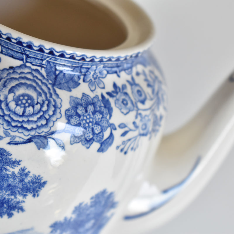 Vintage Teapot Villeroy & Boch Burgenland