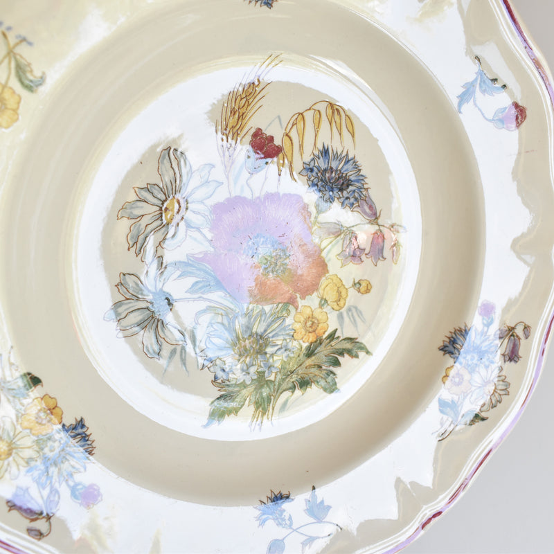 Vintage Plate Digoin & Sarreguemines Agreste D