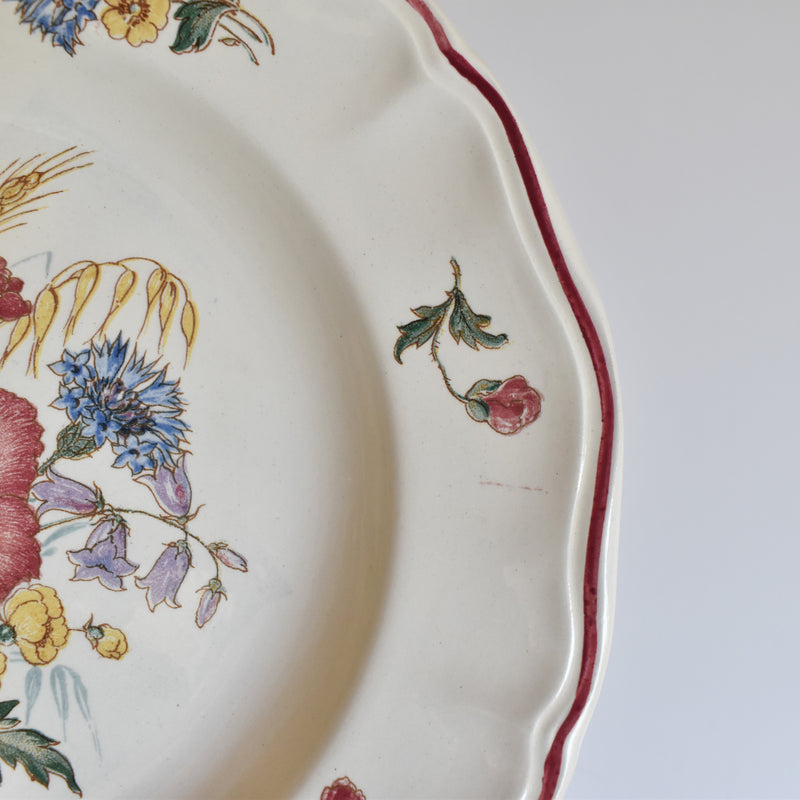 Vintage Plate Digoin & Sarreguemines Agreste D