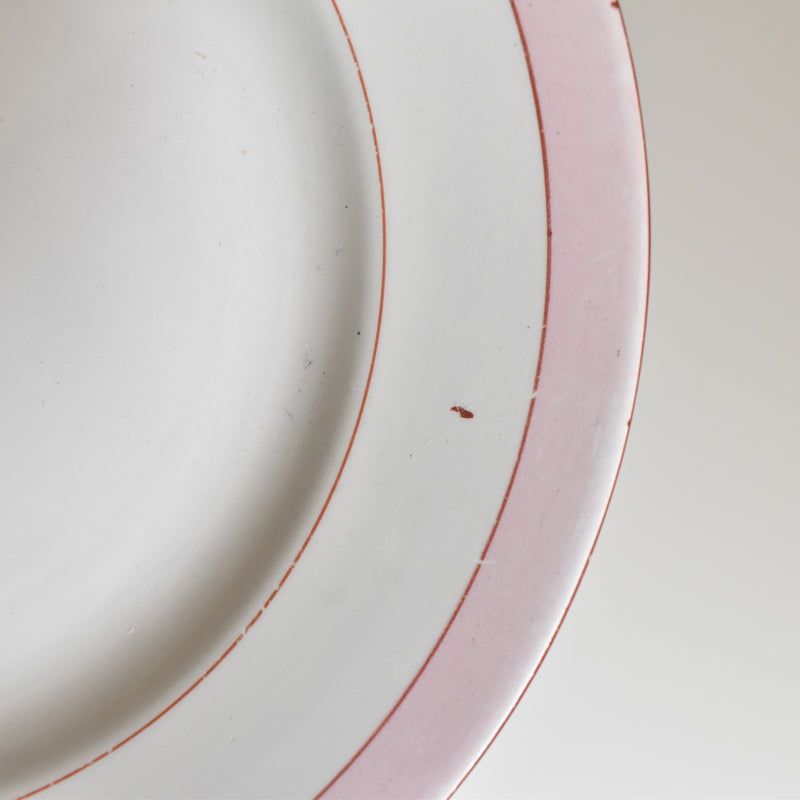 Vintage Plate, Digoin & Sarreguemines Casino A