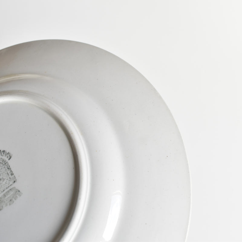 Vintage dessert plate, Saint-Amand, holly, D