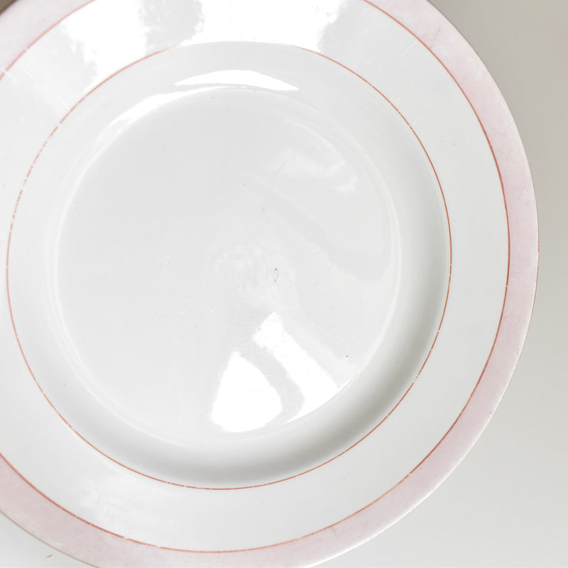 Vintage Plate Digoin & Sarreguemines Casino B