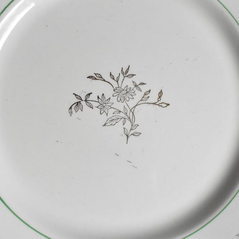 Vintage Plate Gien Colmar H