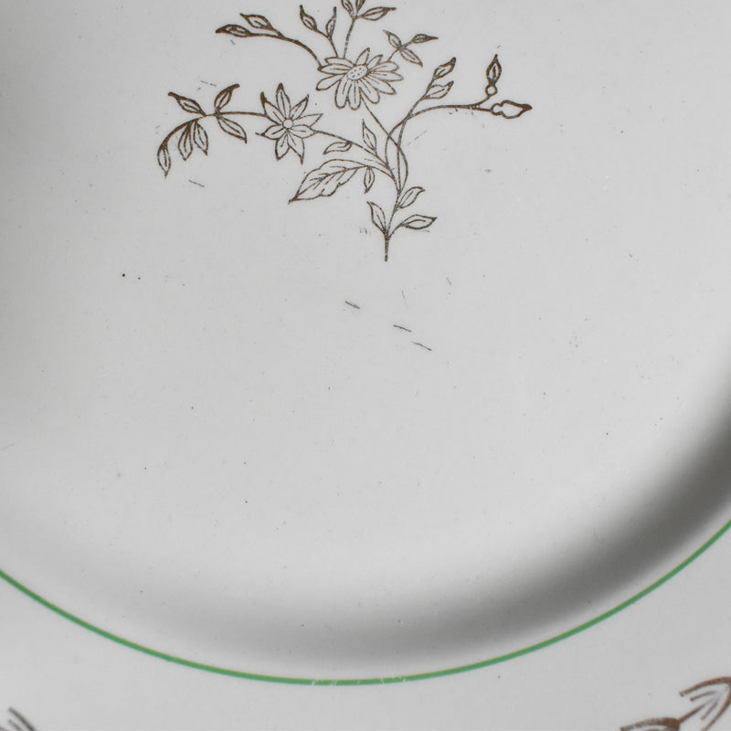 Vintage Plate Gien Colmar H