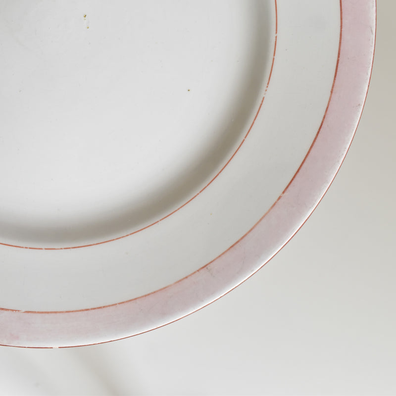 Vintage Plate Digoin & Sarreguemines Casino B