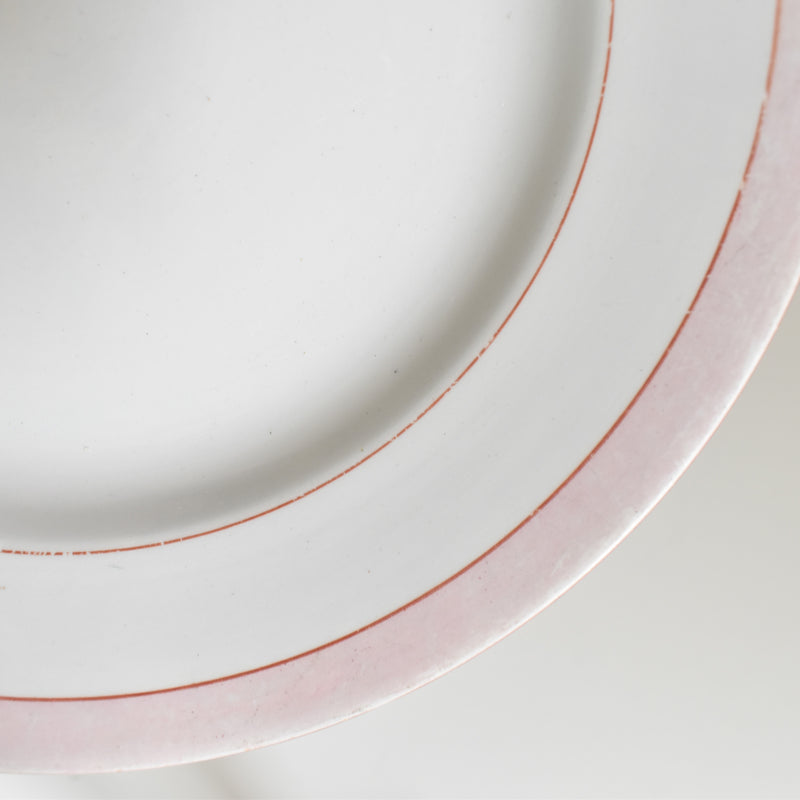 Vintage Plate Digoin & Sarreguemines Casino B