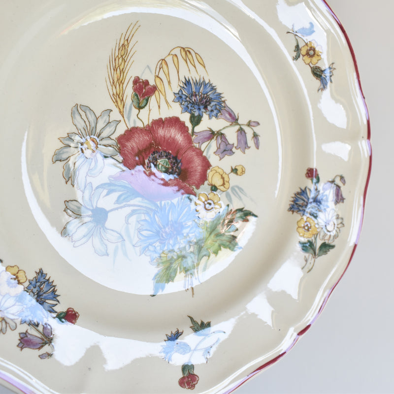 Vintage Footed Plate, Digoin & Sarreguemines Agreste B