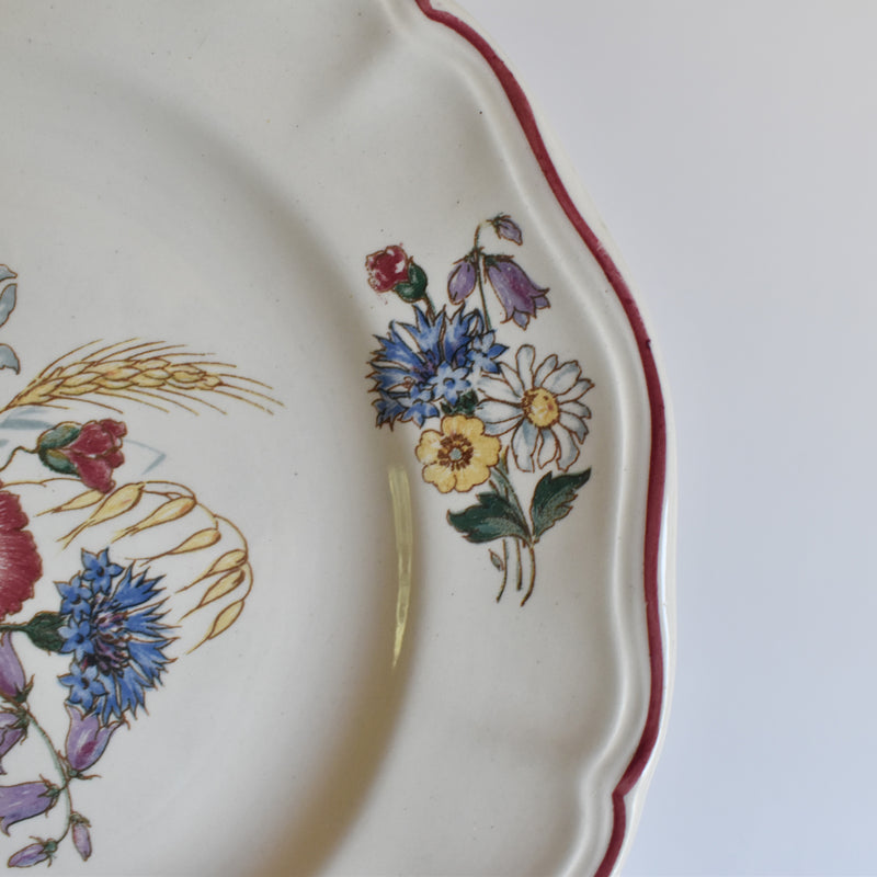 Vintage Footed Plate, Digoin & Sarreguemines Agreste B