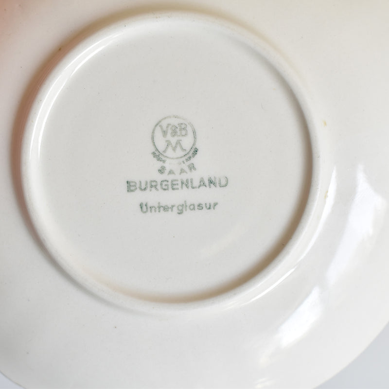 Vintage Coffee Cup & Saucer Villeroy & Boch Burgenland
