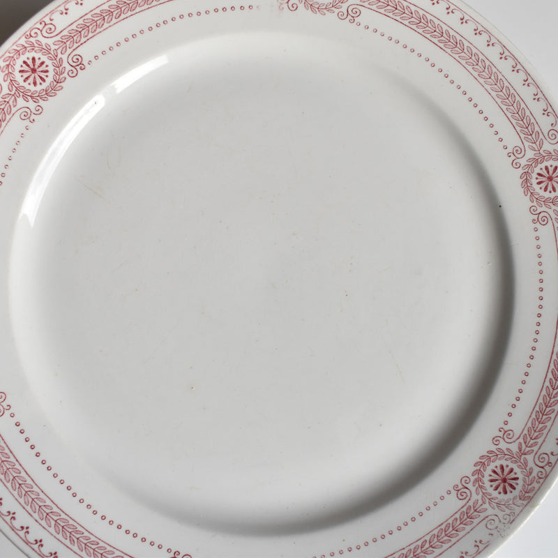 アンティークプレート U&Cサルグミンヌ Carina B