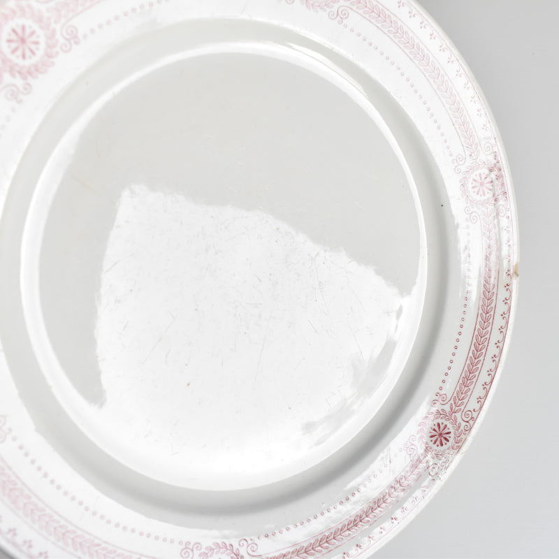 アンティークプレート U&Cサルグミンヌ Carina B