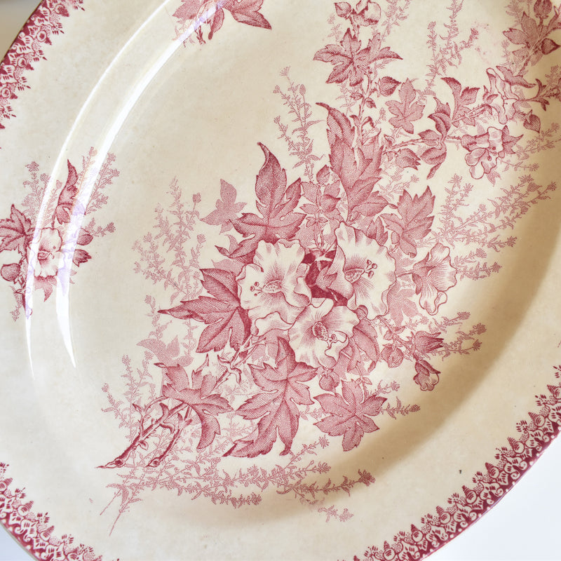 Antique Oval Plate Onann Eglantines