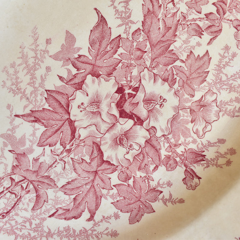 Antique Oval Plate Onann Eglantines
