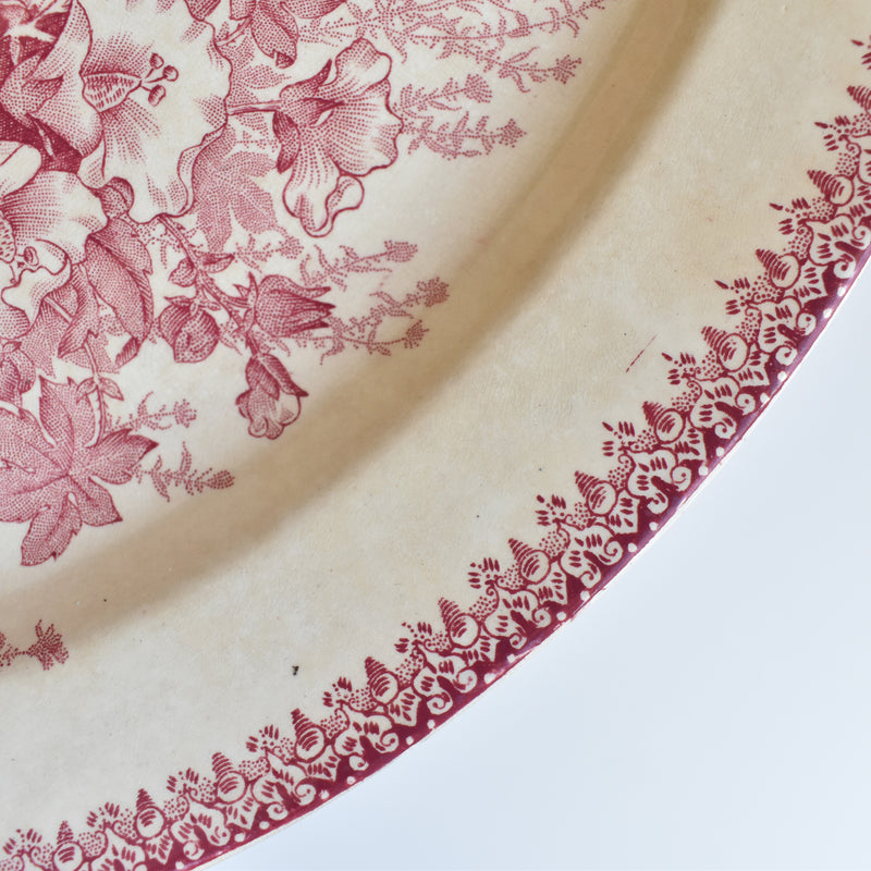 Antique Oval Plate Onann Eglantines