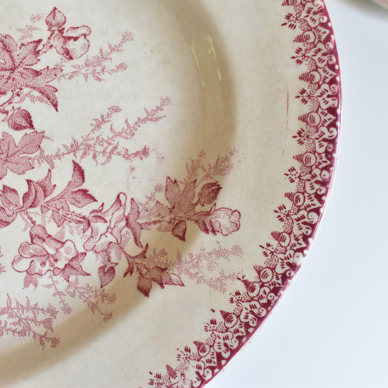 Antique Oval Plate Onann Eglantines
