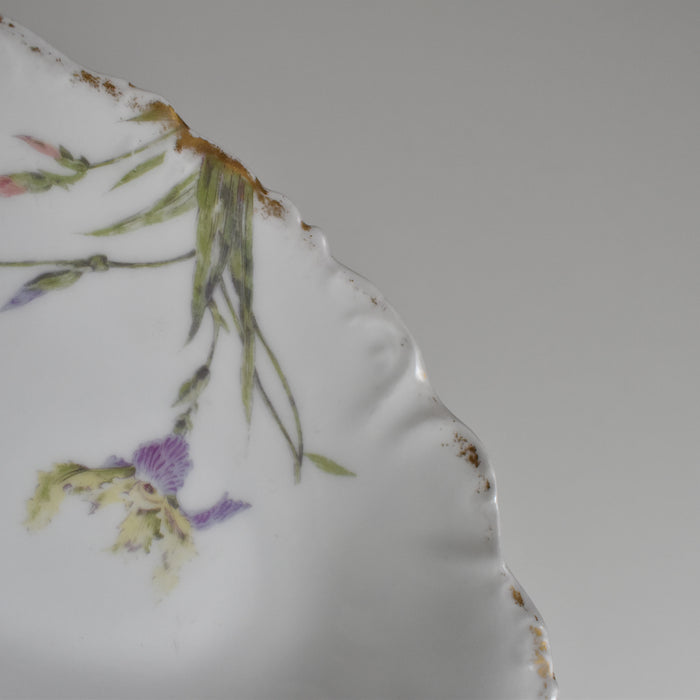 アンティークラヴィエ リモージュ ELITE Iris C