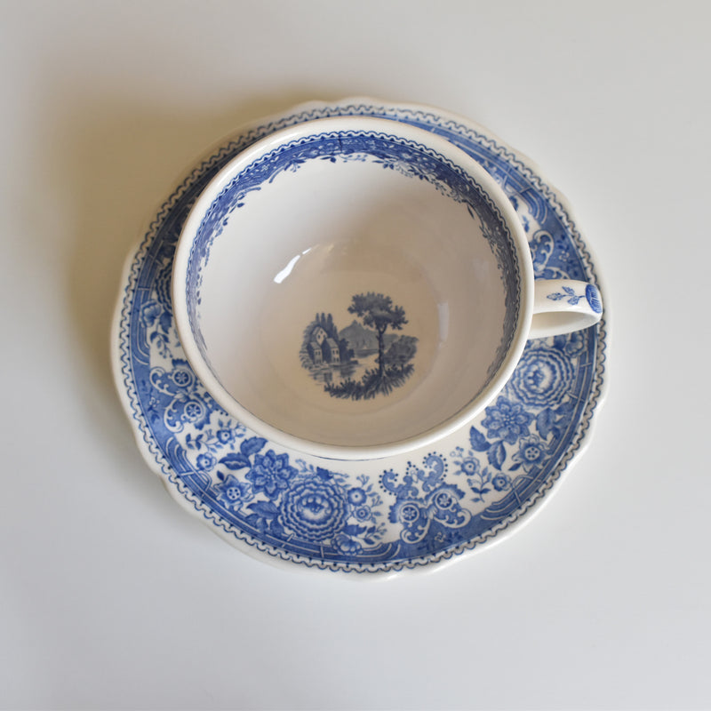 Vintage Teacup & Saucer Villeroy & Boch Burgenland A