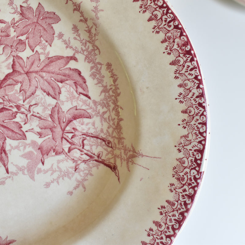 Antique Oval Plate Onann Eglantines