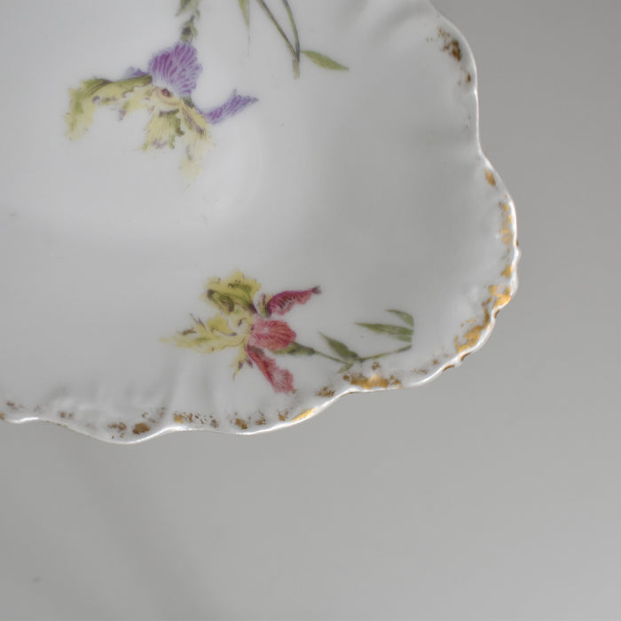 アンティークラヴィエ リモージュ ELITE Iris C