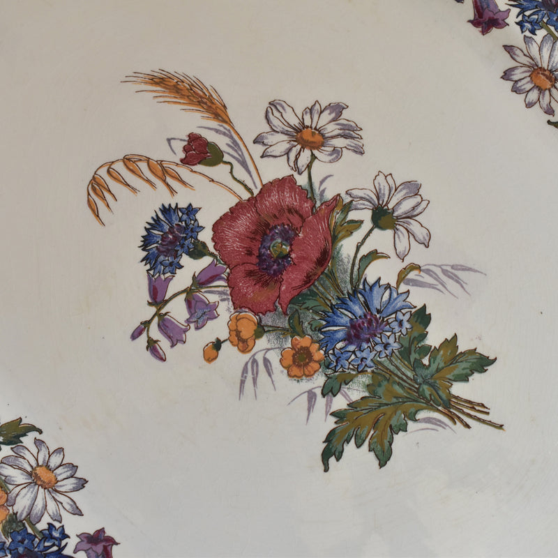 Vintage Oval Platter, Digoin & Sarreguemines Agreste