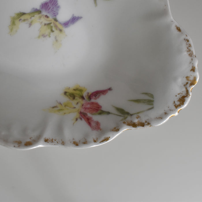 アンティークラヴィエ リモージュ ELITE Iris C