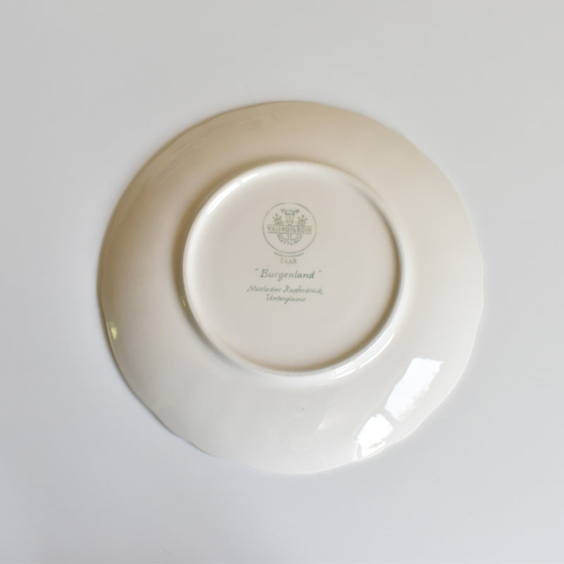 Vintage Teacup & Saucer Villeroy & Boch Burgenland A