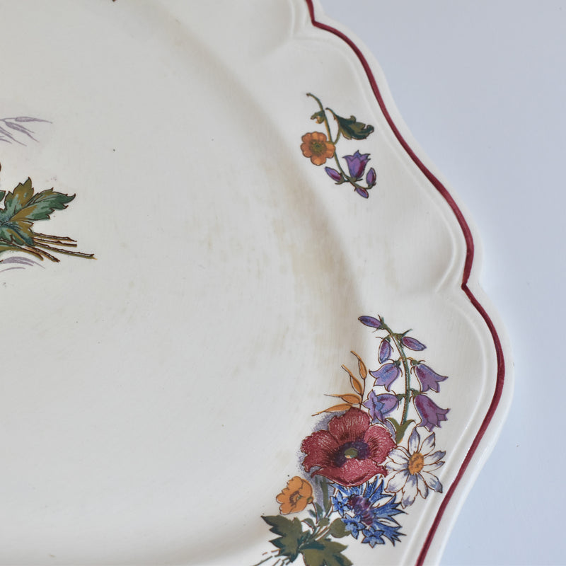Vintage Oval Platter, Digoin & Sarreguemines Agreste