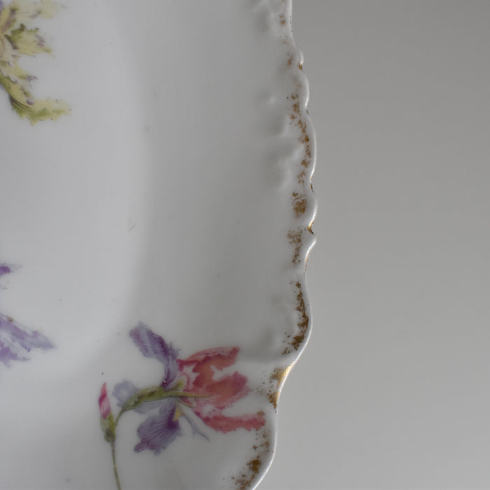 アンティークラヴィエ リモージュ ELITE Iris C