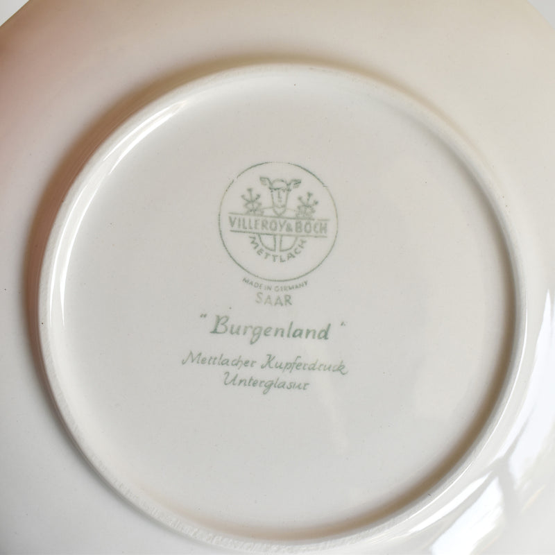 Vintage Teacup & Saucer Villeroy & Boch Burgenland A