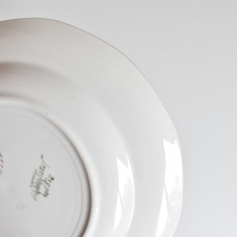 Vintage Dessert Plate Digoin & Sarreguemines 9123 B