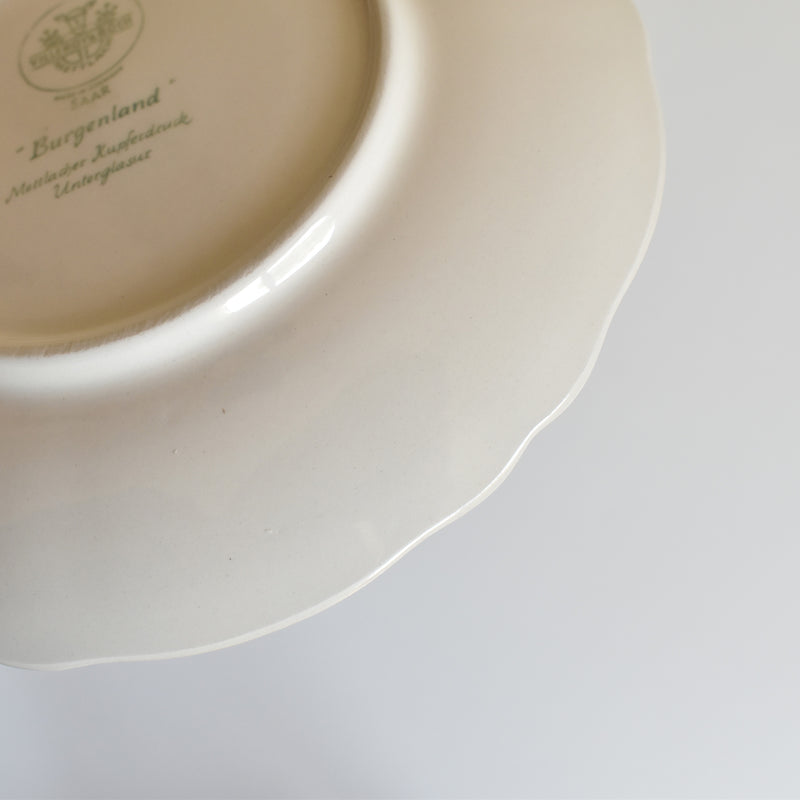 Vintage Teacup & Saucer Villeroy & Boch Burgenland A