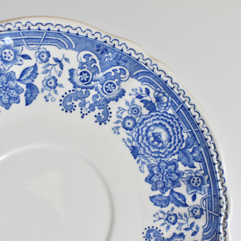 Vintage Teacup & Saucer Villeroy & Boch Burgenland A