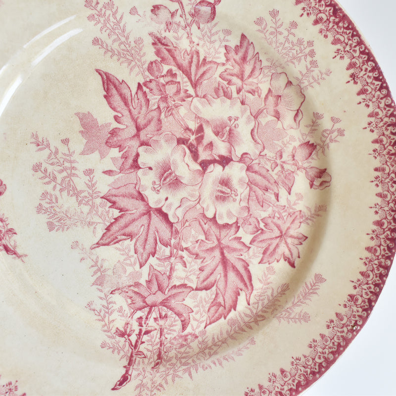 Antique Plate Onan Eglantines A