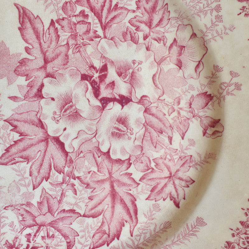 Antique Plate Onan Eglantines A
